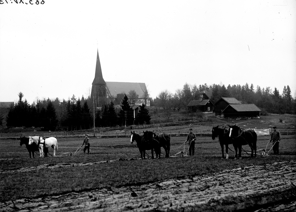 Höstplöjning i Malma, 1900-1910.