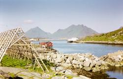 Landskap i Lofoten, med fiskehjell i forgrunnen og fjell i b