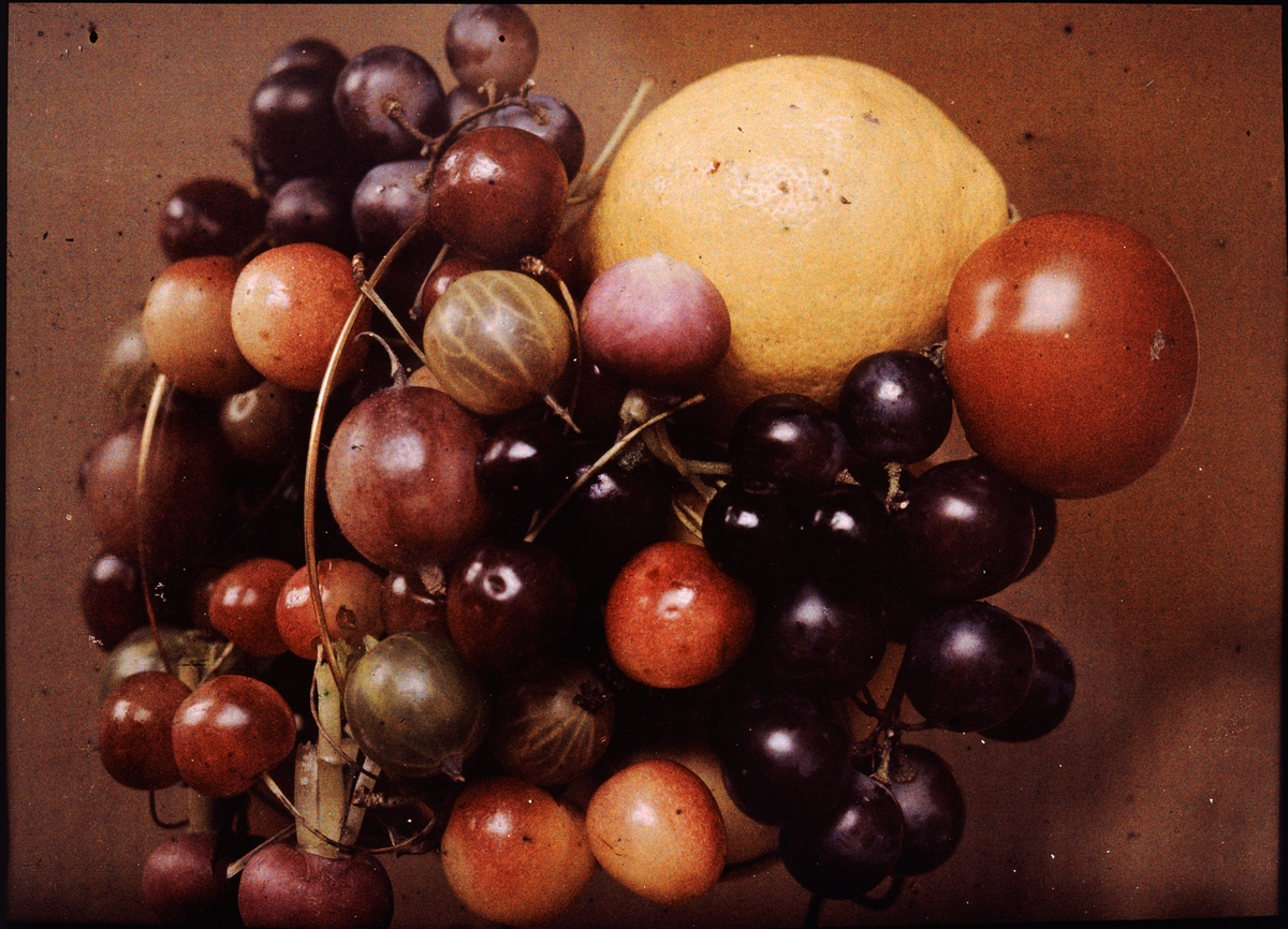 Lumières-autokrom. Stilleben: Körsbär, krusbär, citron och tomat m m.