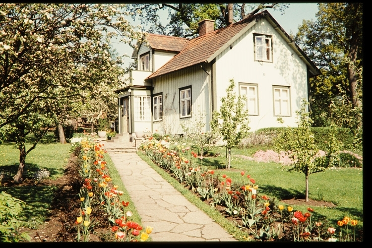 Villa på Väster, Pilgatan 11. Bostadshus och trädgård. Växjö sent 1950-tal.