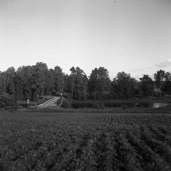 Dörarp, Torsborg. 1955.