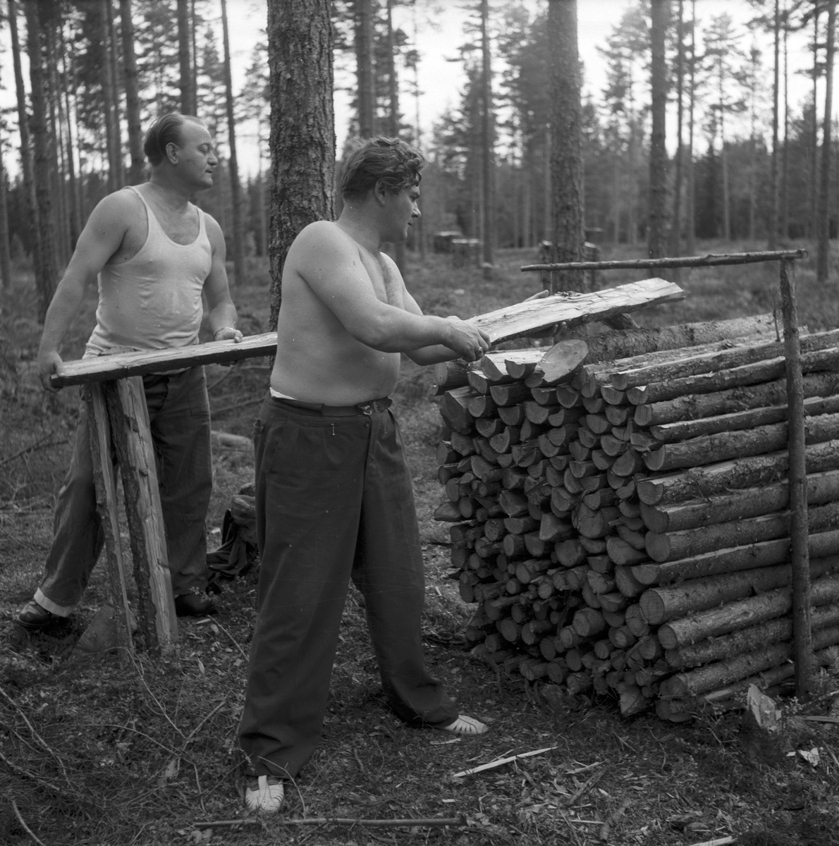 Opersångare Conny Söderström på skogshuggning med Egon Madsen. 8 augusti 1947.