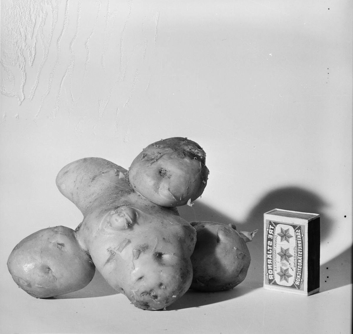 Foto av potatis för Arbetarbladet