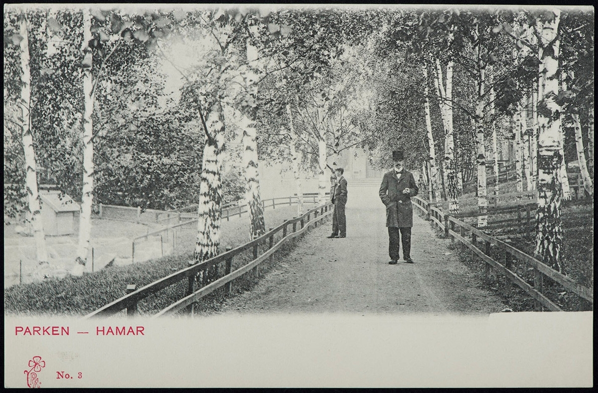 Postkort, Hamar park, andedam, bjørkeskog, 2 menn på gangsti,  