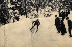 Postkort. Jule- og nyttårshilsen. Vintermotiv. Skog. På kort