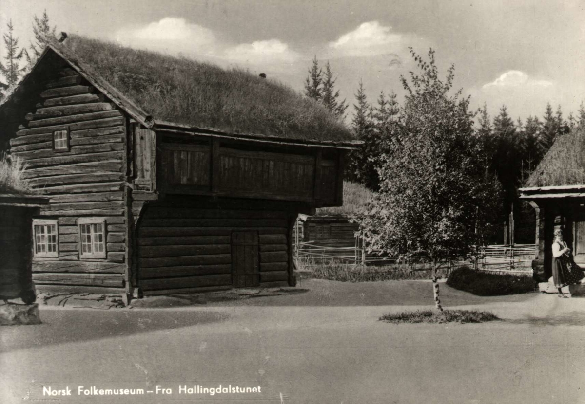 Postkort. Bygninger fra Hallingdalstunet, NF.