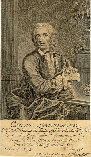 Kopparstick. 
Porträtt av Carl von Linné, avbildad 1748.
Latinsk text under bilden.