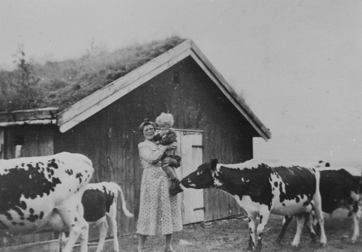 Kvinne med et lite barn på armen foran sommerfjøset på Klasvollen, Galåen. Røroskyr