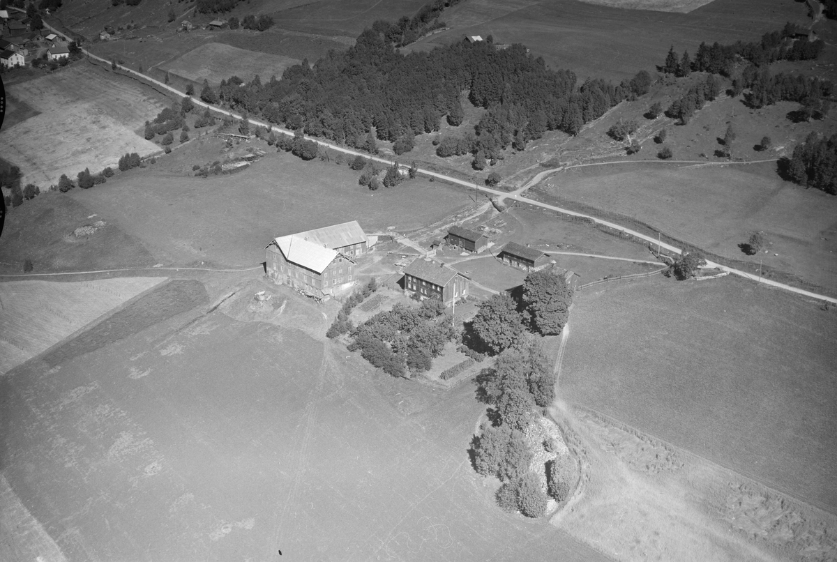 Houm gård, Øverbygda, Østre Gausdal, 1952, åkrer, slåttemark, veier, blandingsskog