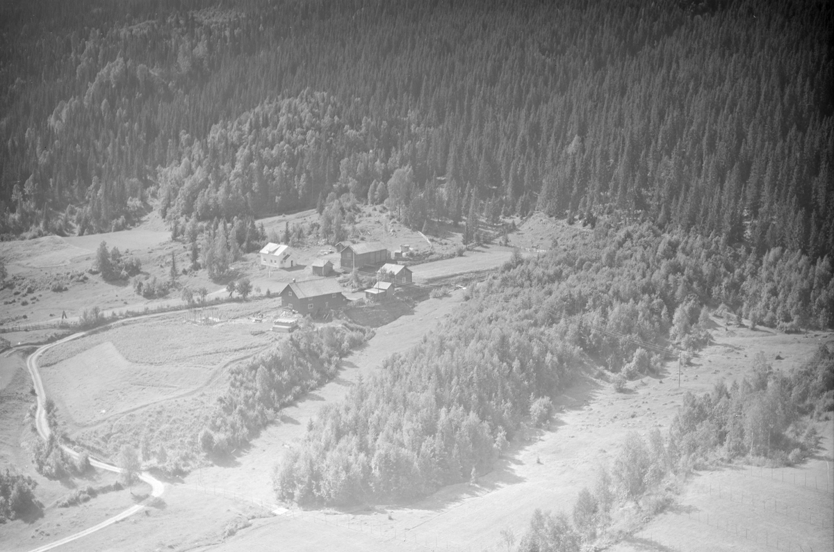 Gardsbruk i Vestre Gausdal. bygninger. Skog. Jorder.