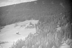 Gardsbruket Hammershaug i Vestyre Gausdal. Bygninger. Skog. 