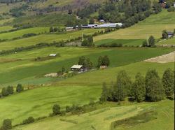 Kulturlandskap. Mye dyrka mark. Stor revegård. Steinrøys