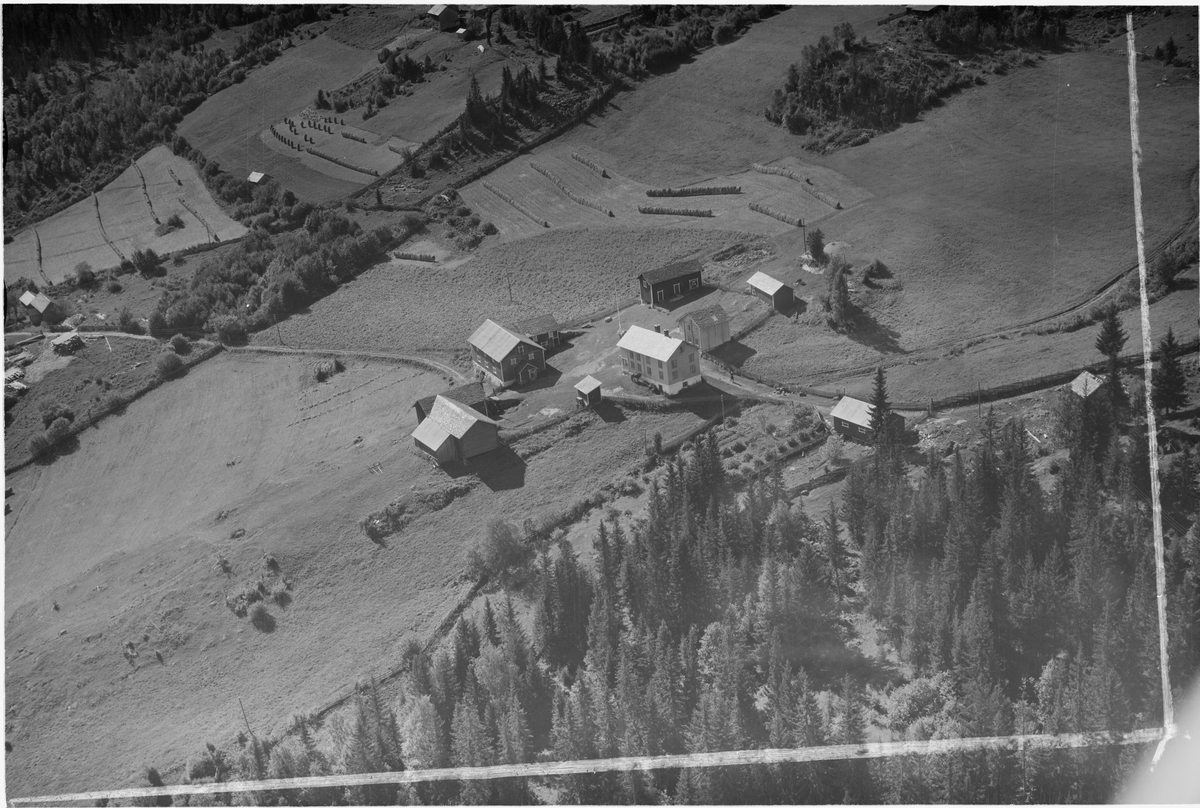 Bjørnstad gård, trolig Bjørnstad øvre 145/1, Tretten, Øyer, 28.08.1953, oversiktsbilde, gårdsdrift, hesjer, kornstaur, kjøkkenhage, kulturlandskap