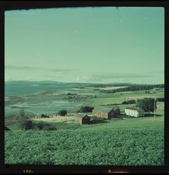 Utsikt ved Nesset i Levanger.