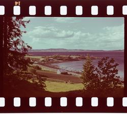 Fra Nesset i Levanger.