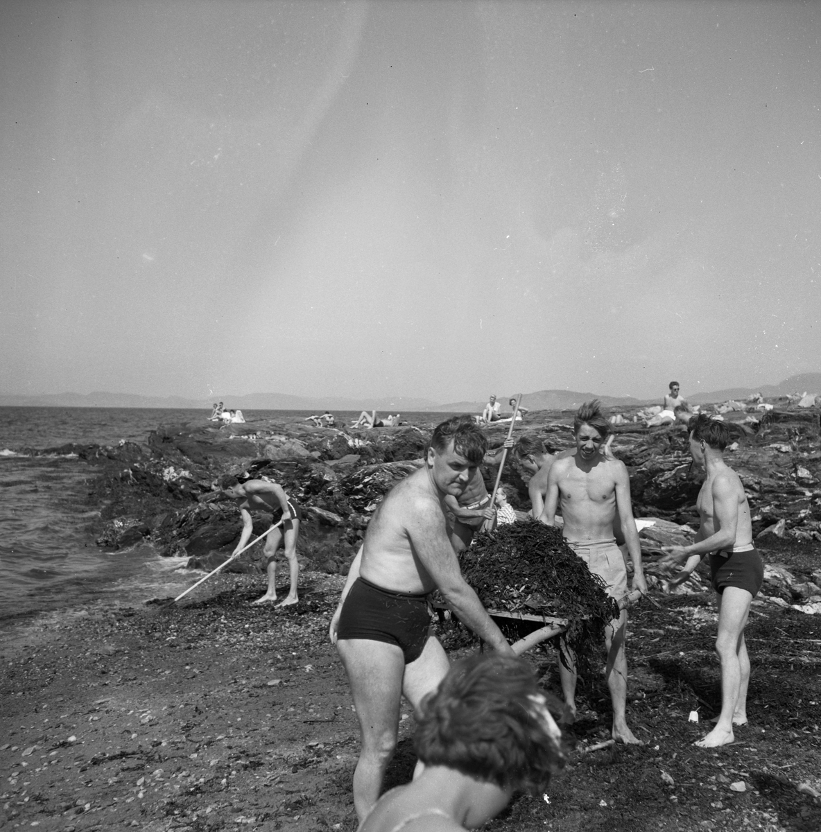 Badeliv og strandrydding på Vikhammerløkka