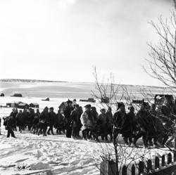 Brudefølge i Kautokeino,  fotografert i ved påsketider 1940.