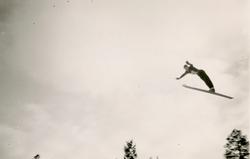 Petter Hugsted i Persløkka