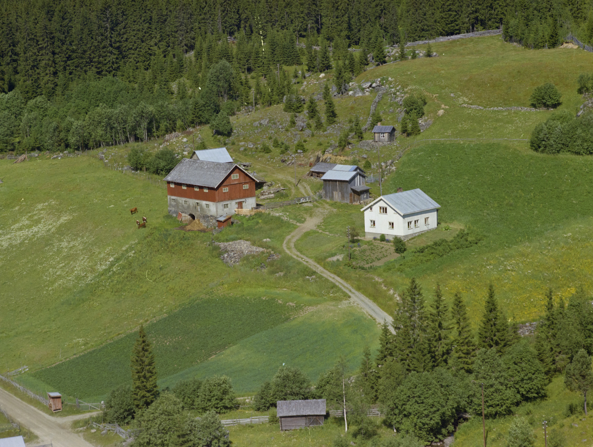 Saksumdal, Bergstuen gård, mjølkerampe, kulturlandskap