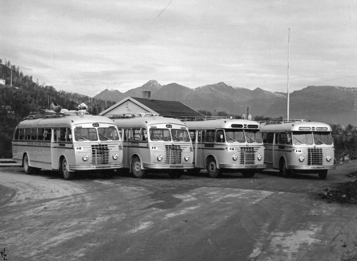 Busser fra Harstad Oppland Rutebil, fotografert et sted i nærheten av Kulseng.