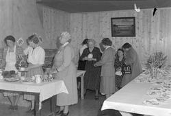 Norske Kvinners sanitetsforening, Sør-Trøndelg krets har møt