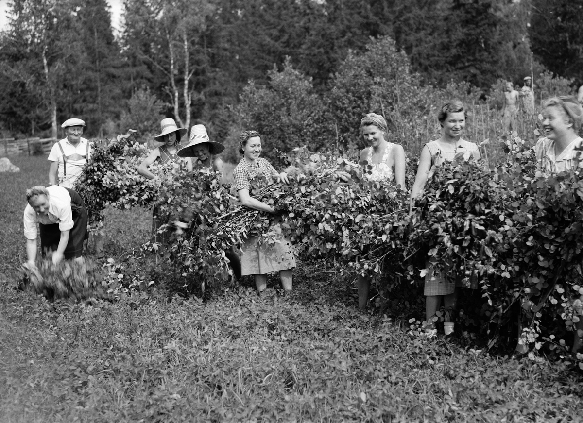 Ungdomar arbetar med lövtäkt på Länna gård, Almunge. Samhällsinsats arrangerad av Länsarbetsnämnden i Uppsala län