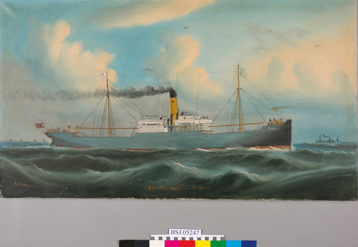 Skipsportrett av dampskipet FRANCES på åpent hav. Blå himmel og skyer, bølger med måker. Et annet mindre dampskip i horisonten. Rederimerke på vimpel og skorstein, samt norsk flagg i akter.