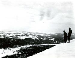 Dokkadalen sett fra Ormtjernkampen