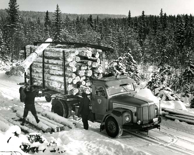 Skogsarbete, Arbrå. Två män lastar timmer på en bil. - Hälsinglands ...