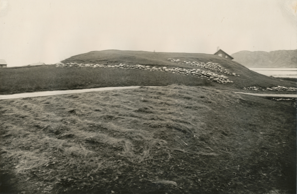 Mjeltehaugen på Giske ca 1922. Vikingtidsgrav.