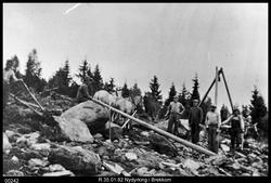 Nydyrking i Brekkom, Ringebu