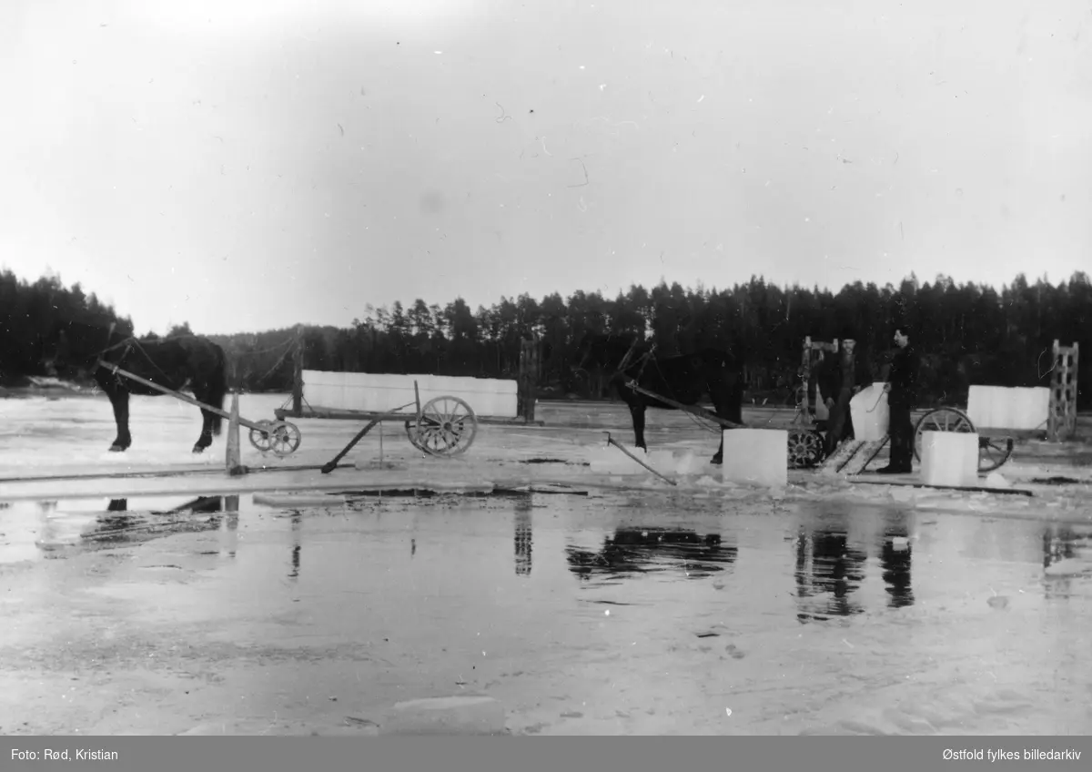 Isskjæring på Aspern ved Rød i Aremark,  ca. 1910-1920.