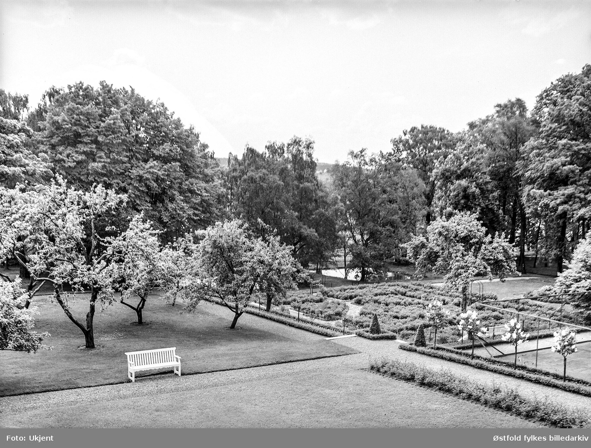 Borregård hovedgård i Sarpsborg, 1931. Parken.
