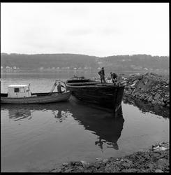 Lekter ved søppelfylling, Gunneklev.