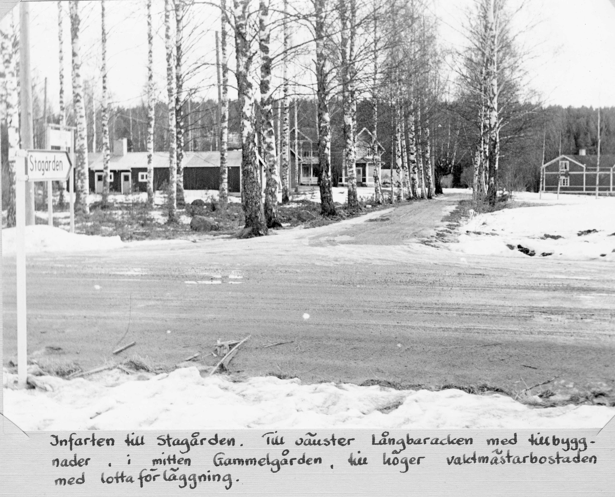Infarten till Stagården, Bollnäs. Till vänster Långbaracken med tillbyggnader, i mitten Gammelgården, till höger vaktmästarbostaden med lottaförläggning.