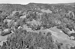 Svartedal  gård og Holen gård  i Skiptvet, flyfoto 20. juni 