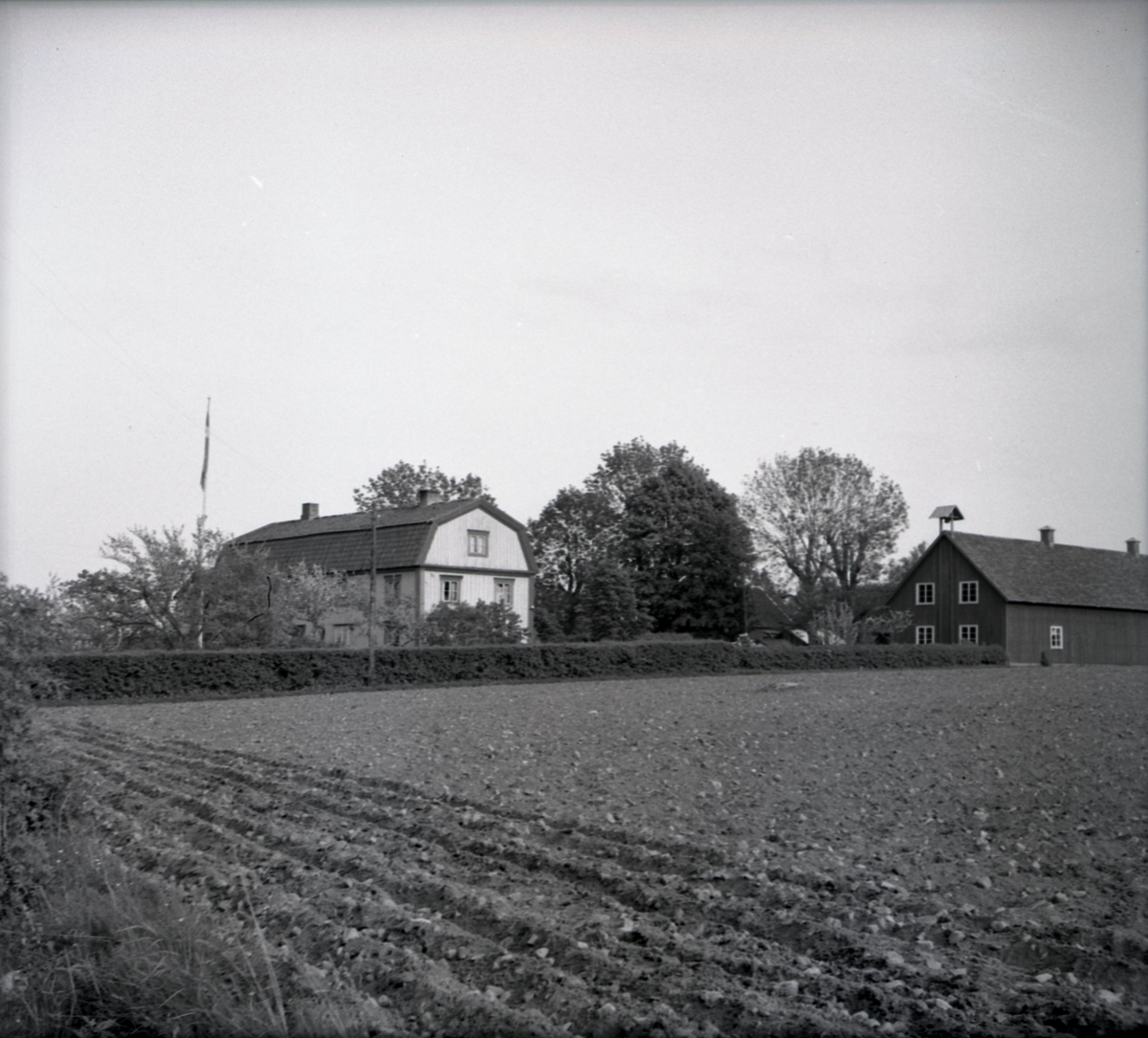 En mangårdsbyggnad och ladugård i Brånahult.