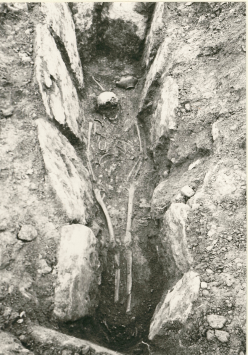 En hällkista med mänskliga kvarlevor, som påträffades vid utgrävningen av gravfältet i Störlinge.