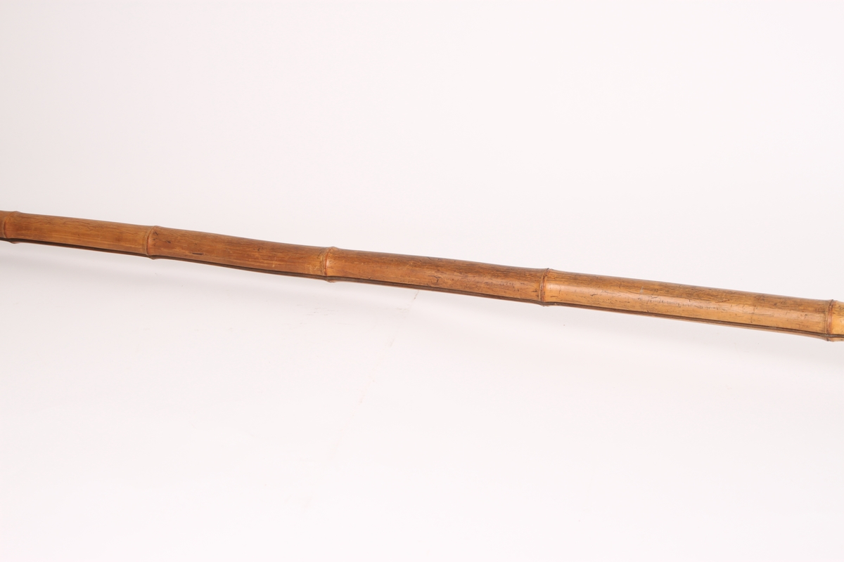 En skistav i bambus med trinse av elghorn og stor jernpigg. Toppen av staven er avrundet, sannsynligvis formet av roten til bambusstaven.