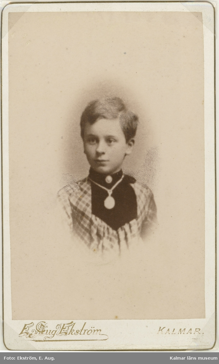 Porträtt av en pojke från den Fornanderska släkten.