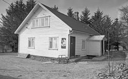 2060 høner og 1 hane - Egg fra frittgående høns.