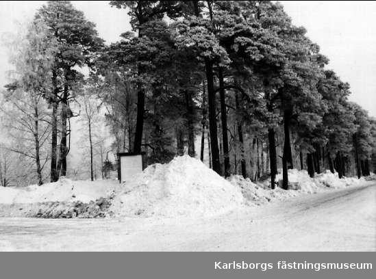 Gatubild från Rödesund, Strandvägen snövintern 1976 - 77.