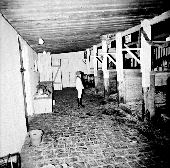 Skara. 
Kvarteret Oxen.
Ridhuset, stallet gamla delen östra sidan. Dörren till åkare Sanfridssons stall i bortre väggen.
