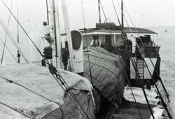 Mannskap og dekkslast ombord i D/S 'Hermod' (b.1925) på reis