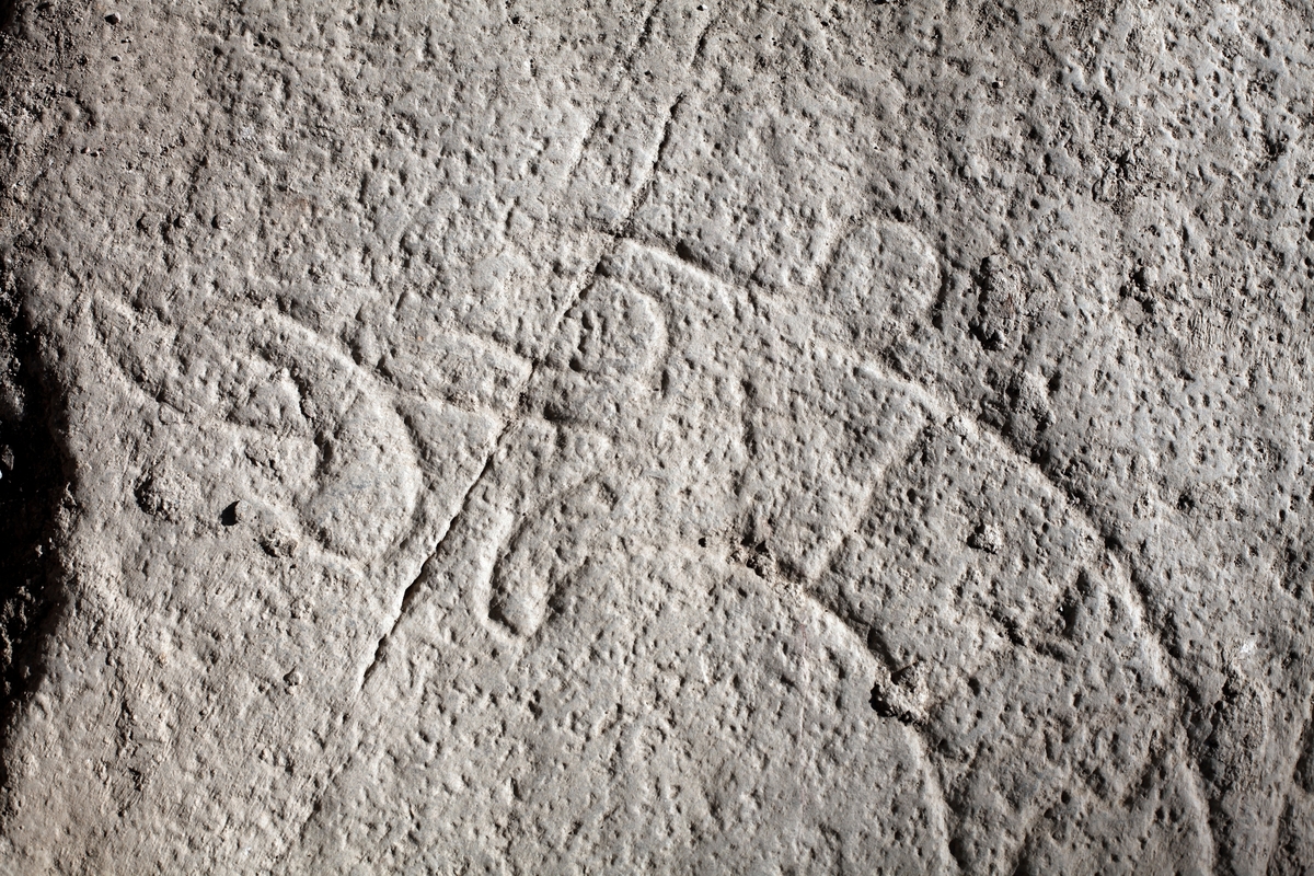 Arkeologisk schaktningsövervakning och undersökning, rundjurets huvud, runsten U 874, Hagby kyrka, Hagby socken, Uppland 2016