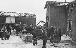 Bryllup, personer, hest, slede, 2-etg. bolighus.