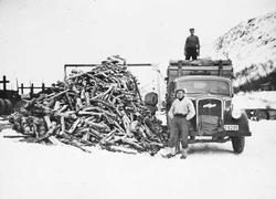 Lastebil, personer, ved.