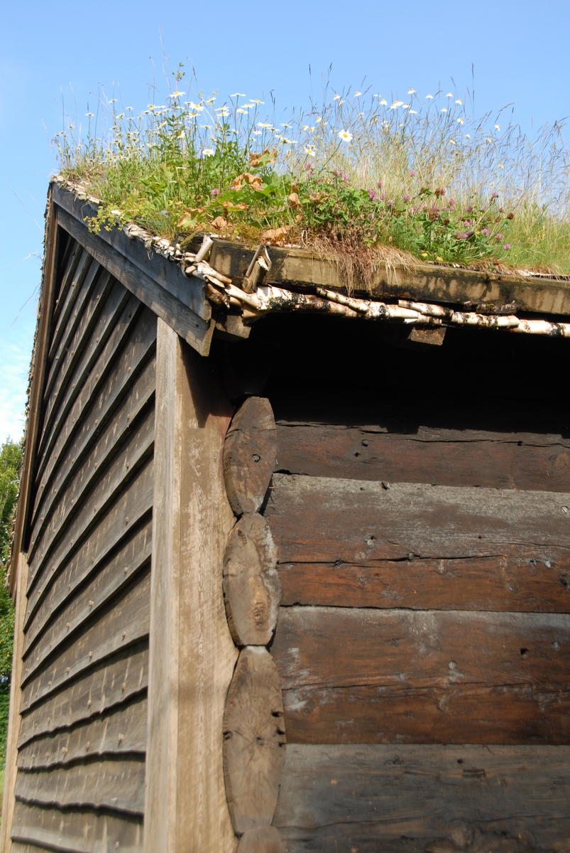 Røykstove, jordgolv, åre og ljoreopning.