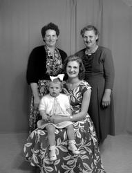 Bilde er registrert på Ole Stølen. Fra Nordmøre museums foto