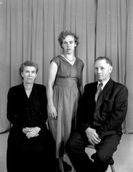 Magnhild og Didrik Bolli med datter Dorthea
Fra Nordmøre mus